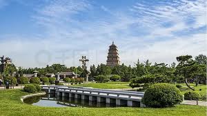 2026美加墨世界杯官网 辽宁沉水植物绿化工程